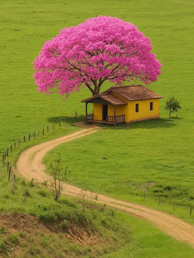 ۱۰۰۰ متر زمین ادگ