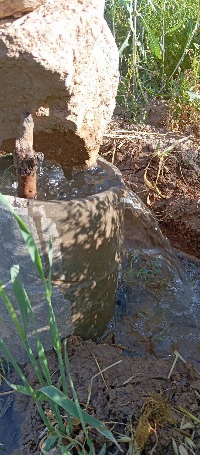 باغ بزرگ معاوضه