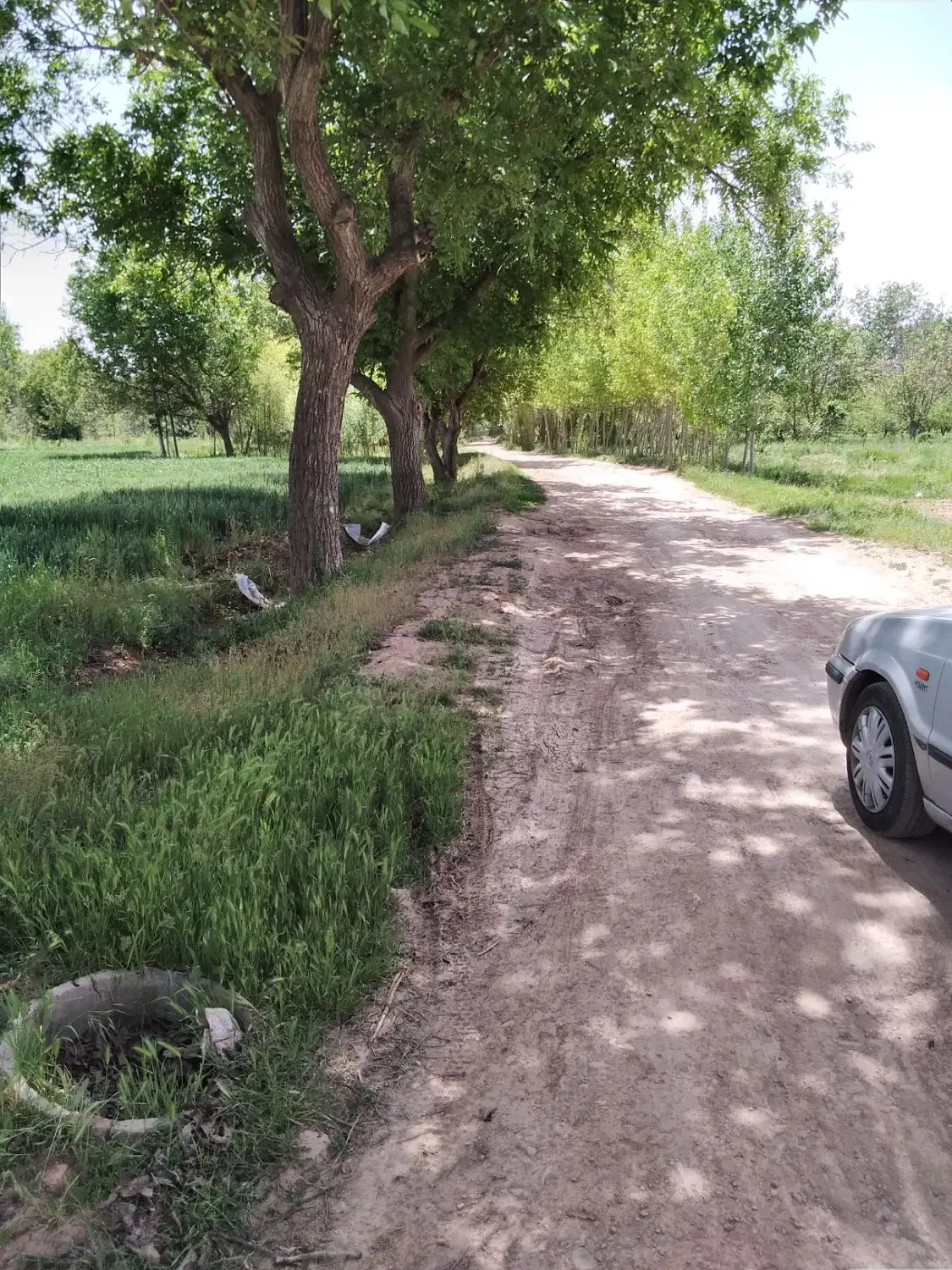 باغ کشاورزی