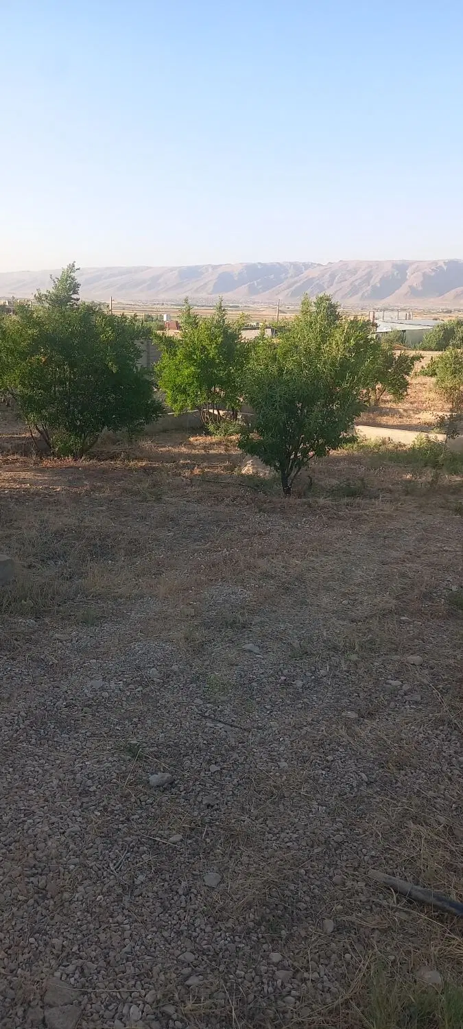 زمین‌های باغشهر سیخ