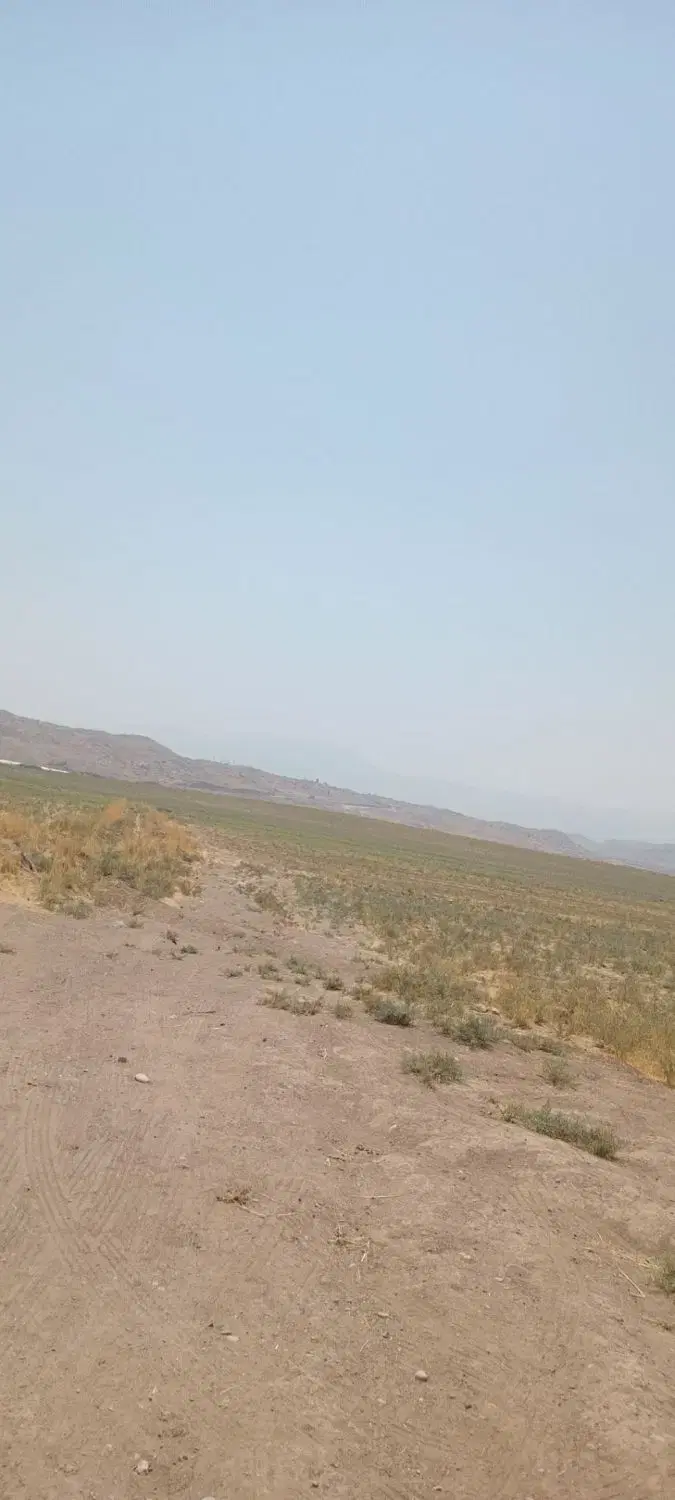 فروش ۸۰۰۰ متری