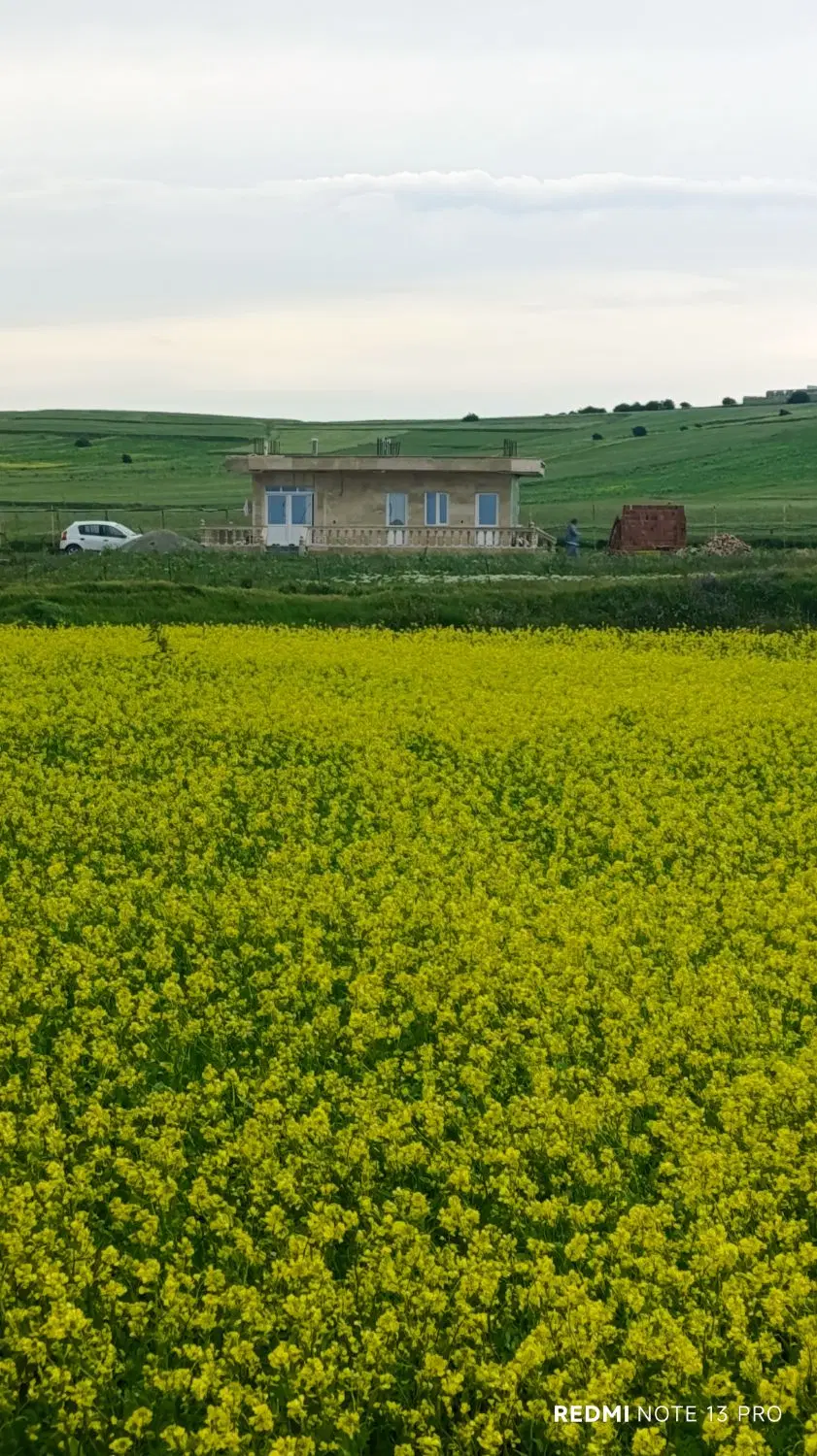 زمین کشاورزی آبی دگرماندرق نمین نزدیک فندقلو