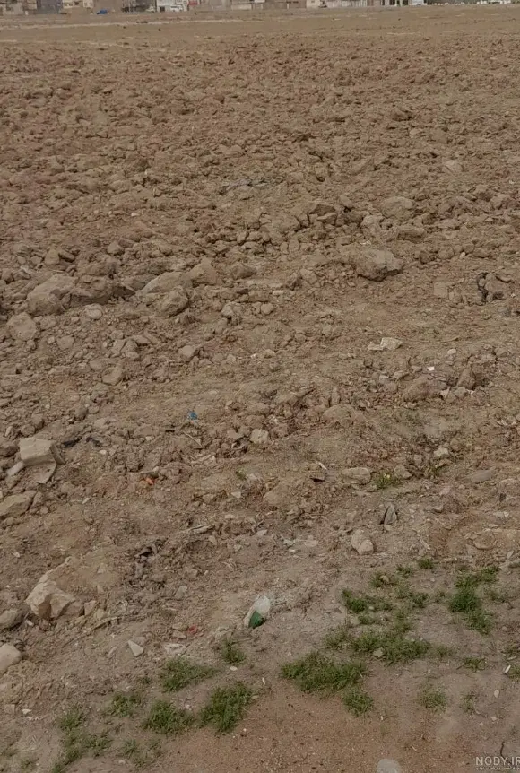 زمین کشاورزی برای اجاره میخواستم.