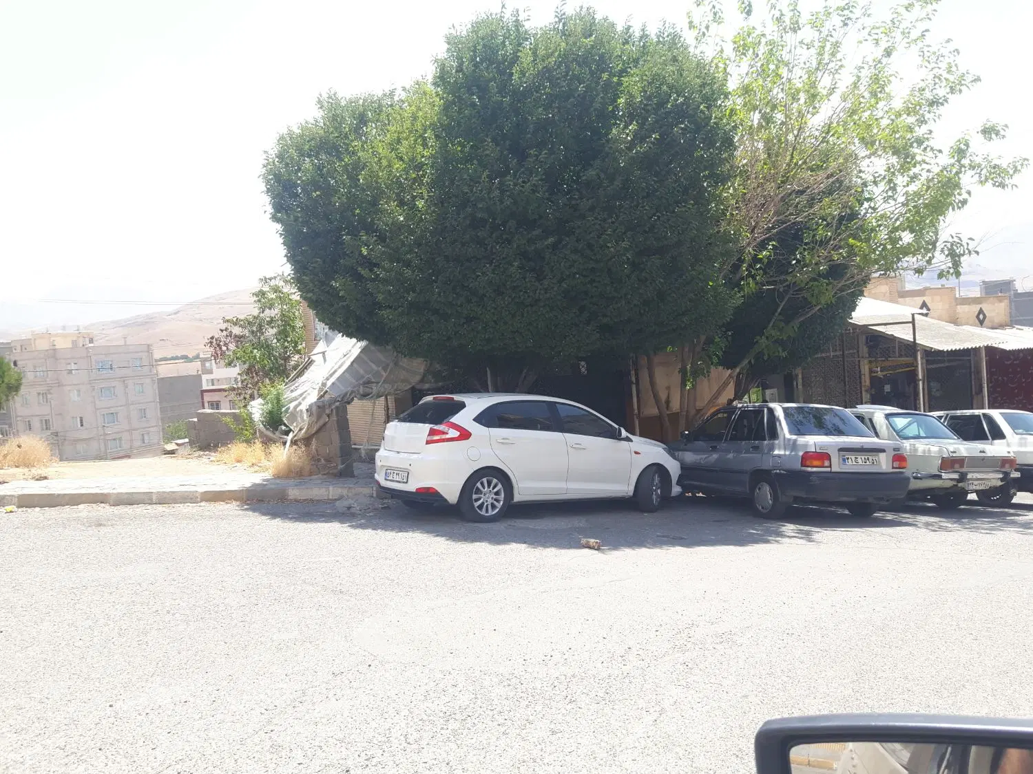 مغازه۲۴