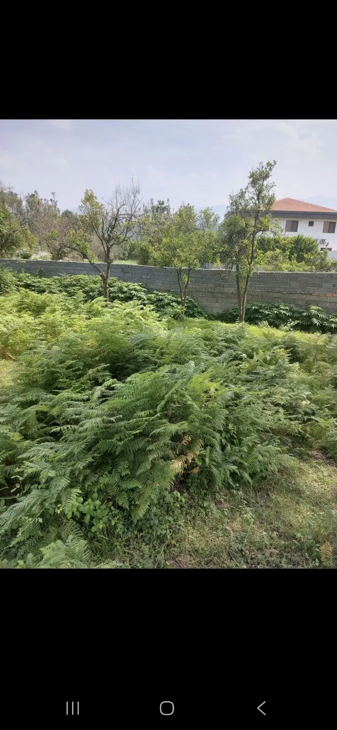 زمین مسکونی سند دار