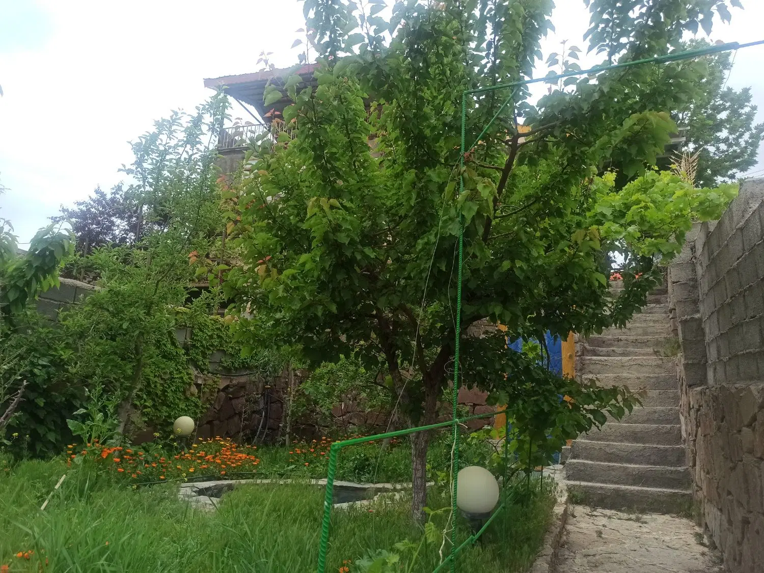 ملک در ابرده