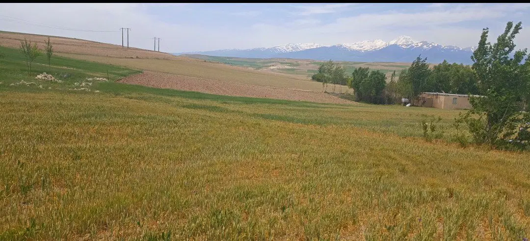 زمین در دهکده الماس
