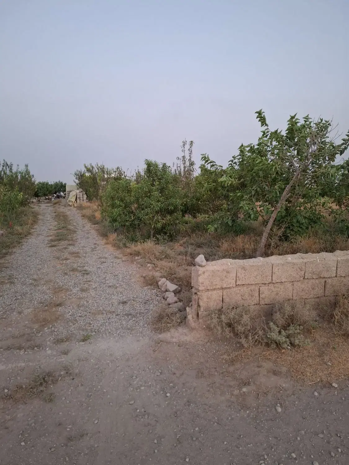 فروش باغچه به متراژ ۱۰۰۰متر