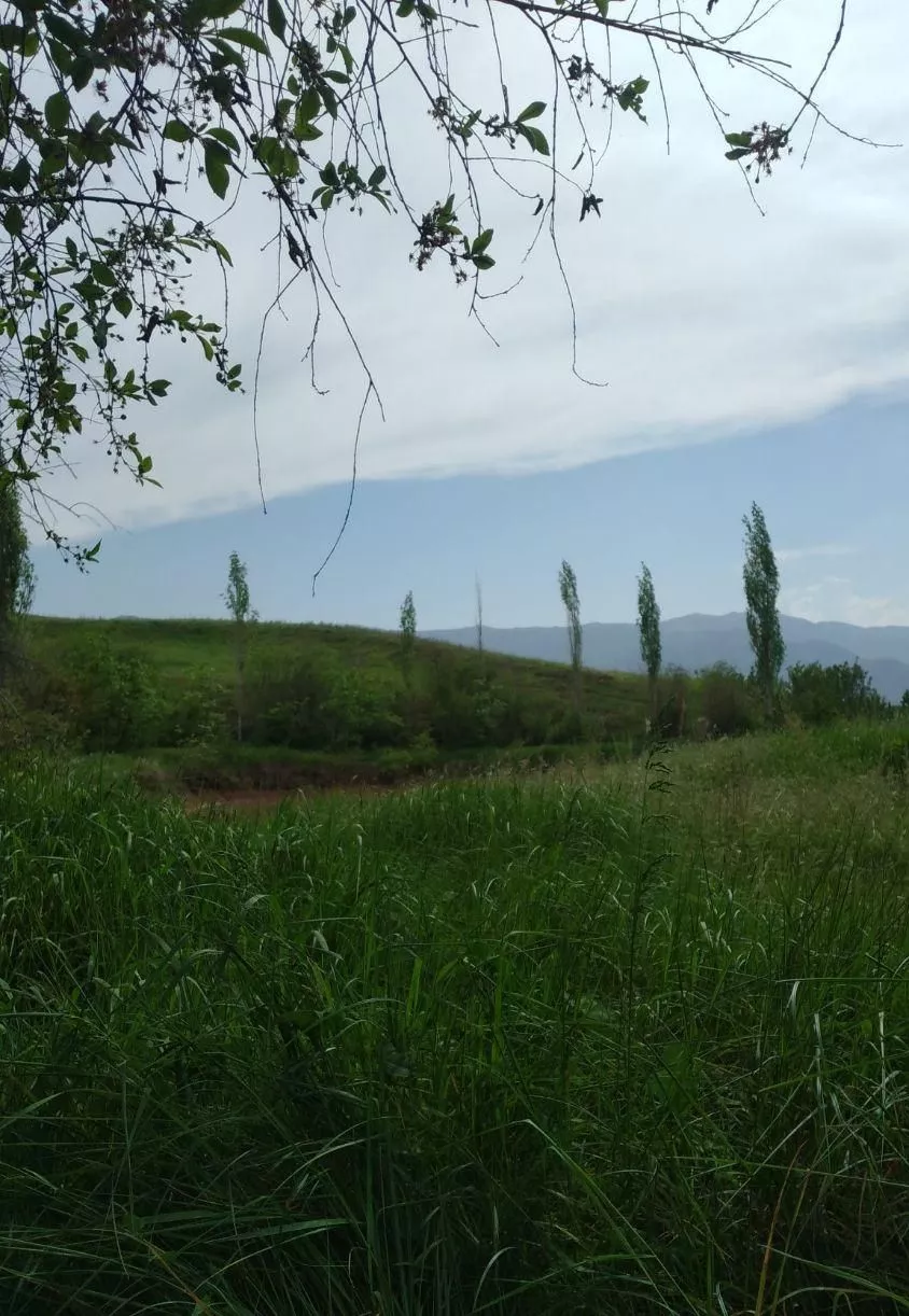 باغ ۲۰۰۰متری الموت با سند و استخر