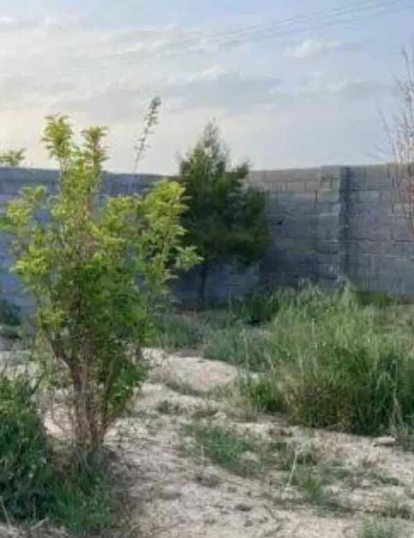 ۱۲۰ متر زمین چاه بلند