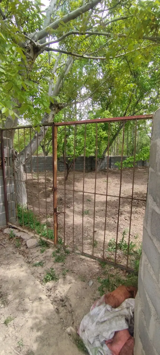 باغ روستای آستانه چهار دیواری با درختان گردو