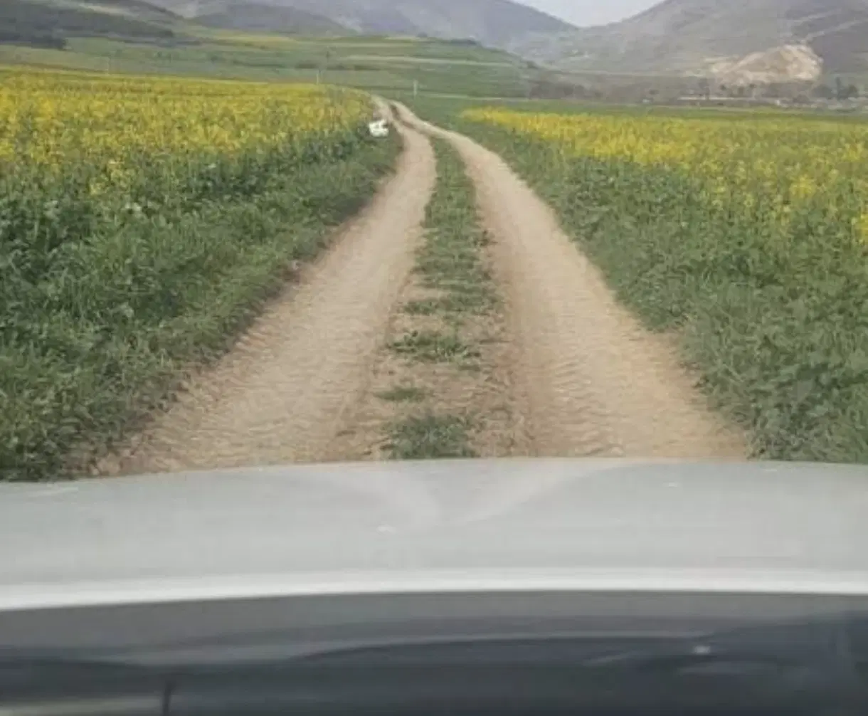 زمین کشاورزی