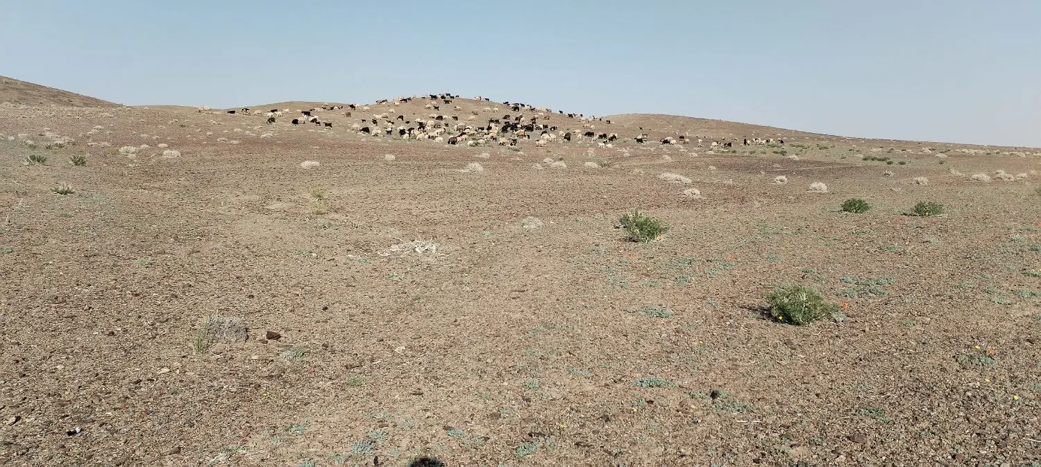 کارگاهی جهاد اباد
