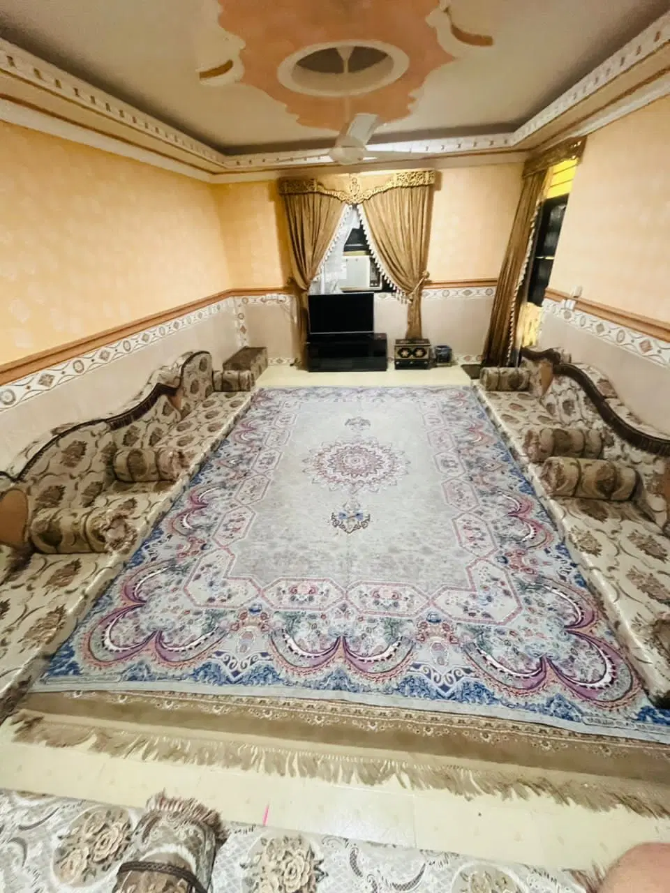 نخل تقی عسلویه