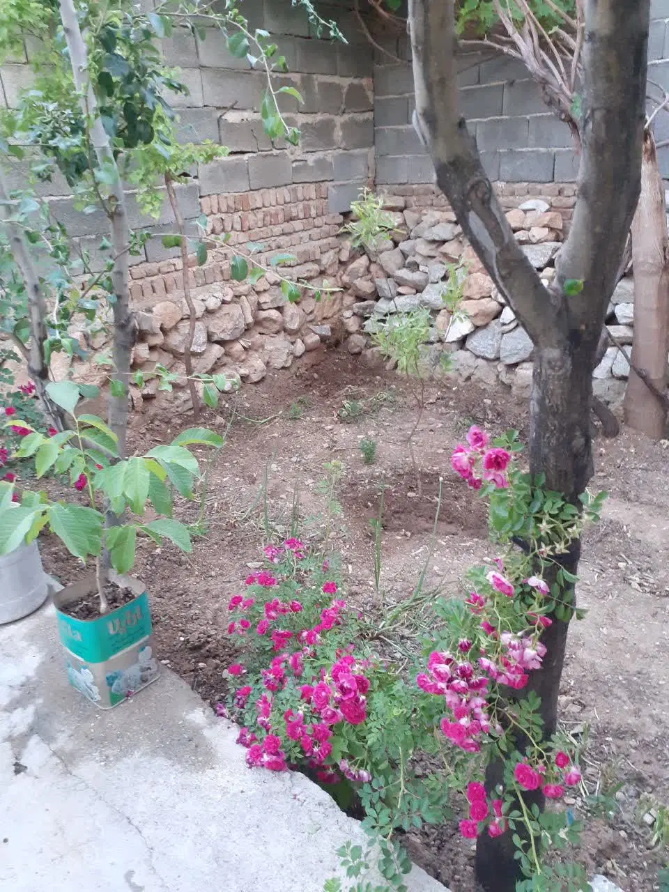 فروش خانه