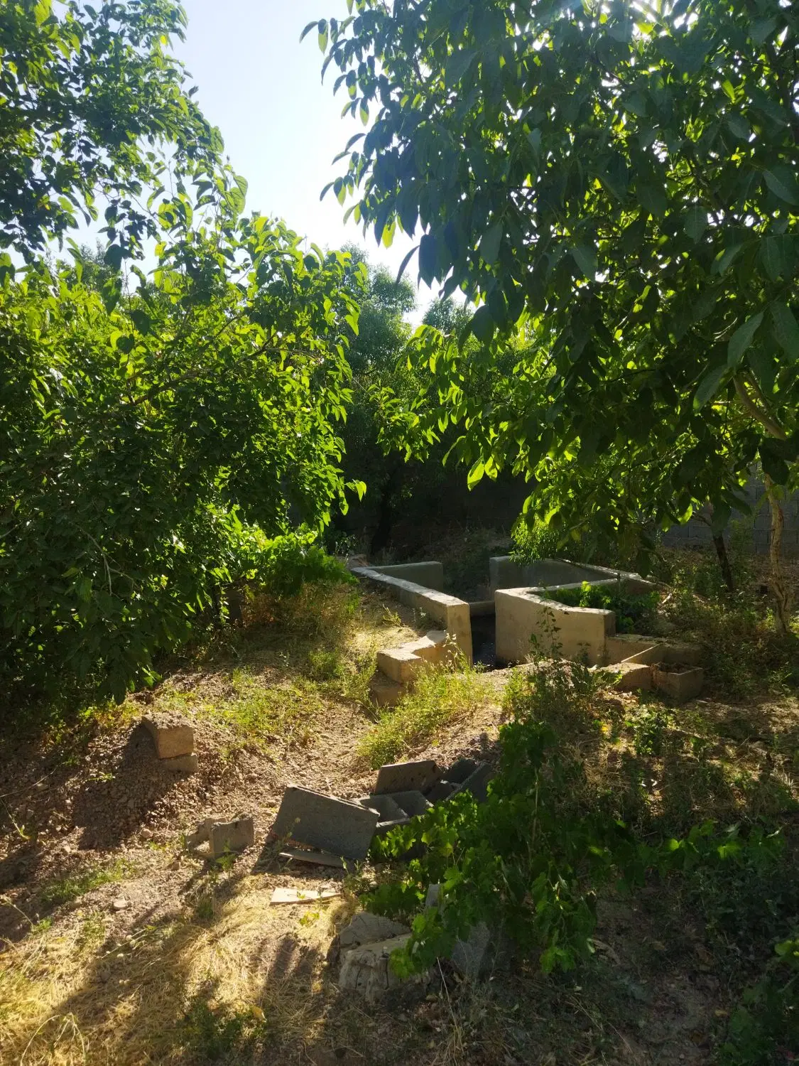 فروش باغ
