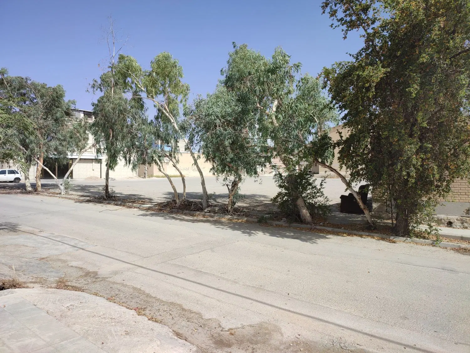 فروش مرغداری و باغ