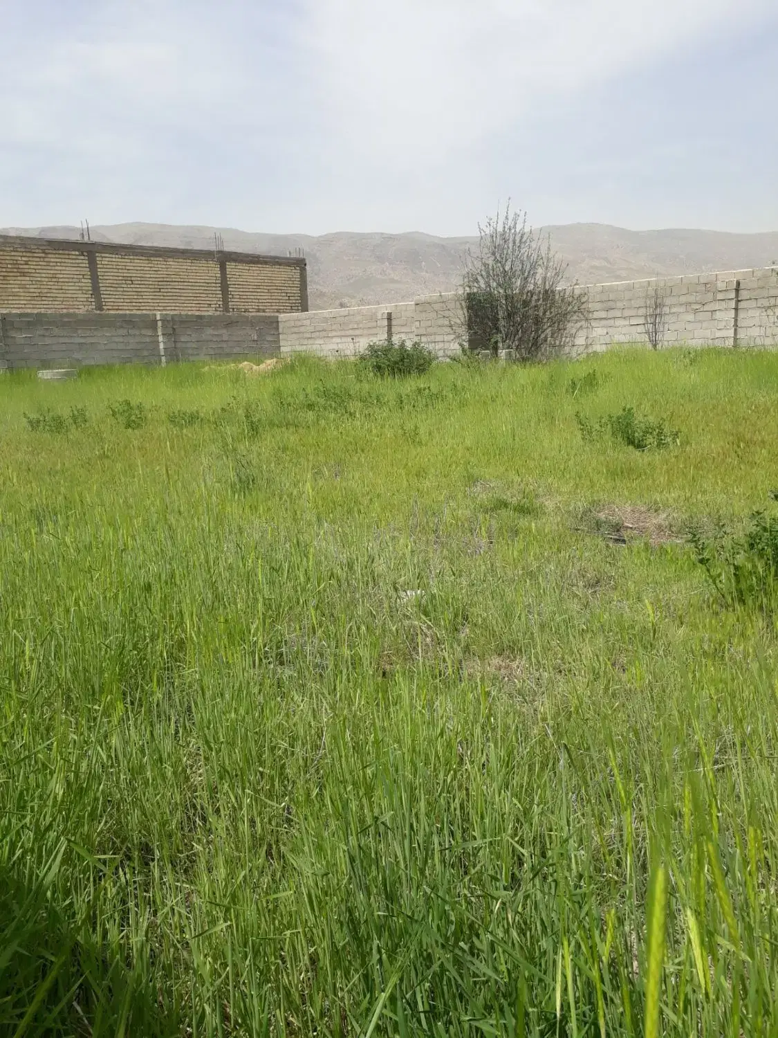 ۶۰۰ متر زمین مسکونی قابل تفکیک