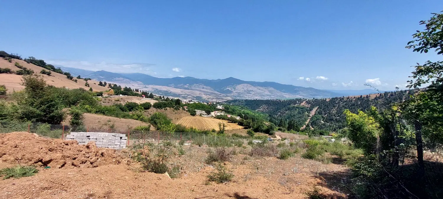 زمین باغی