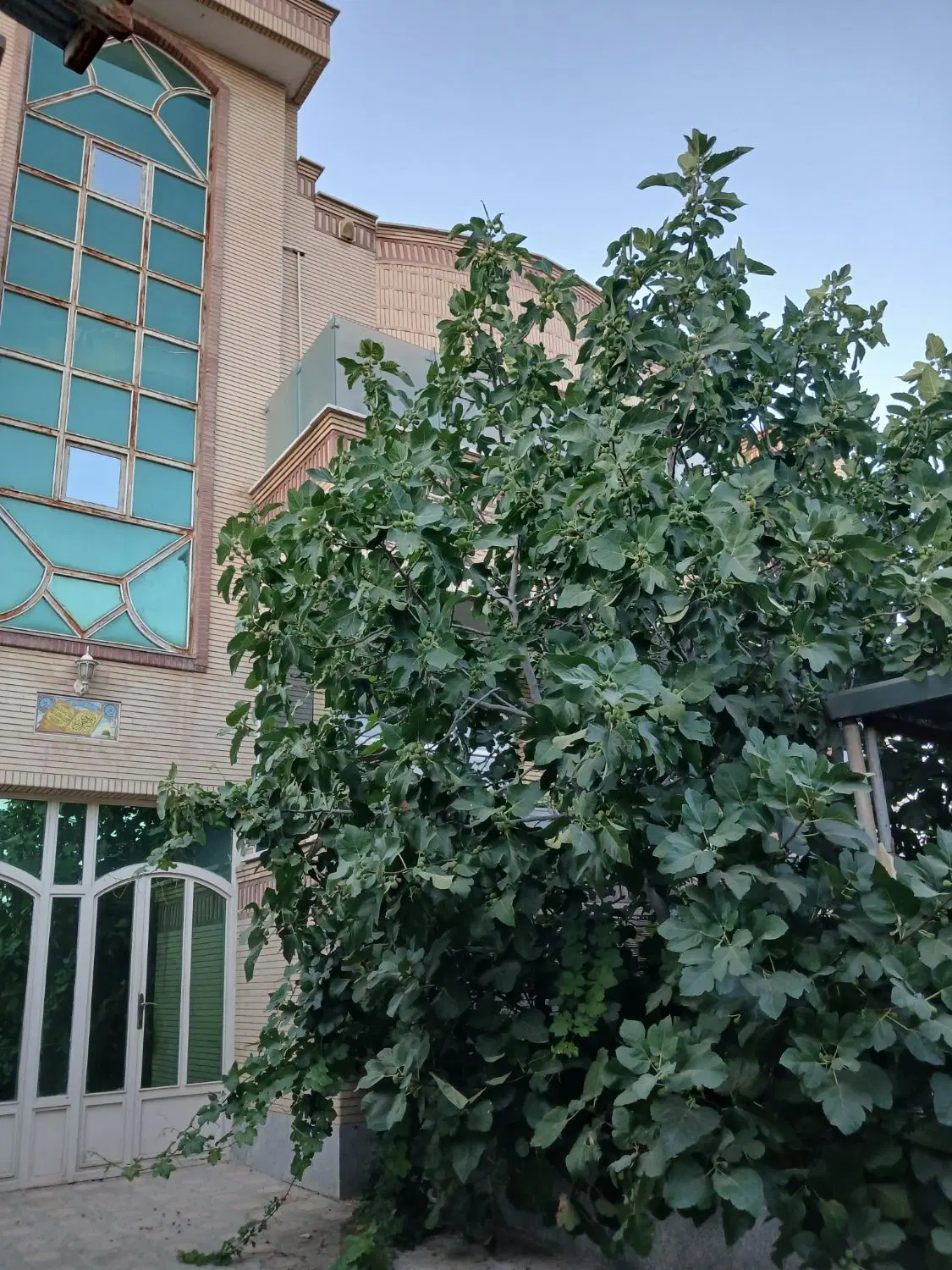 آپارتمان مسکونی