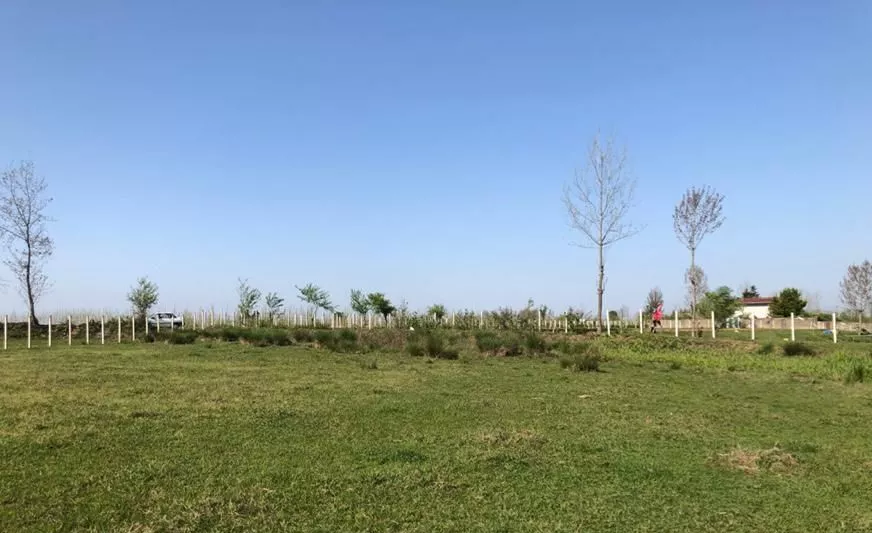 فروش زمین در دهکده ویلایی