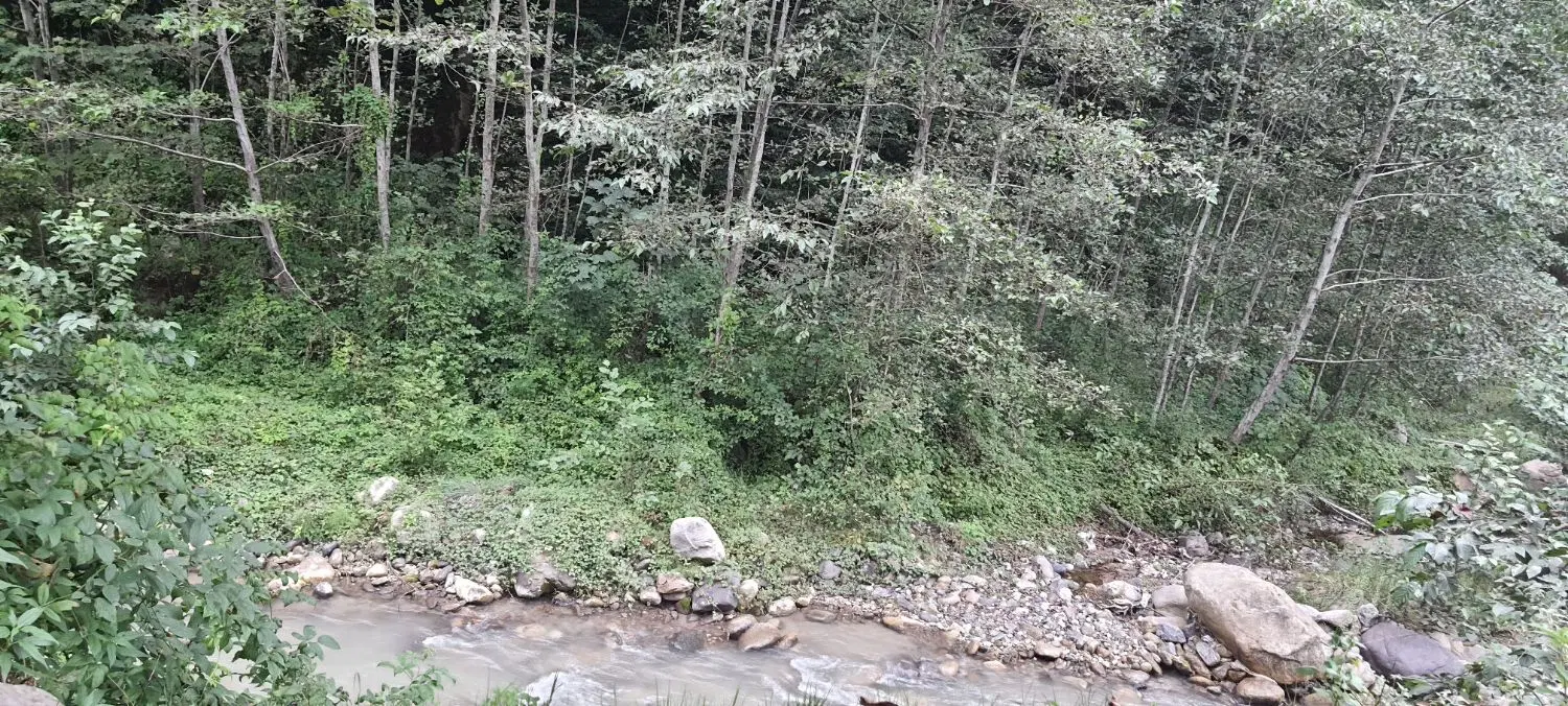 کردان ۴۸۰۰متر باغ  تهاتر