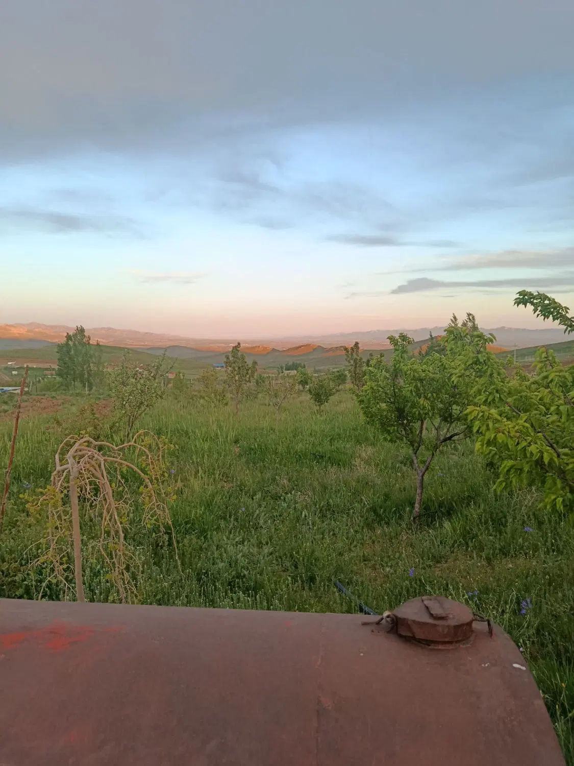 زمین زمین برای احداث باغ