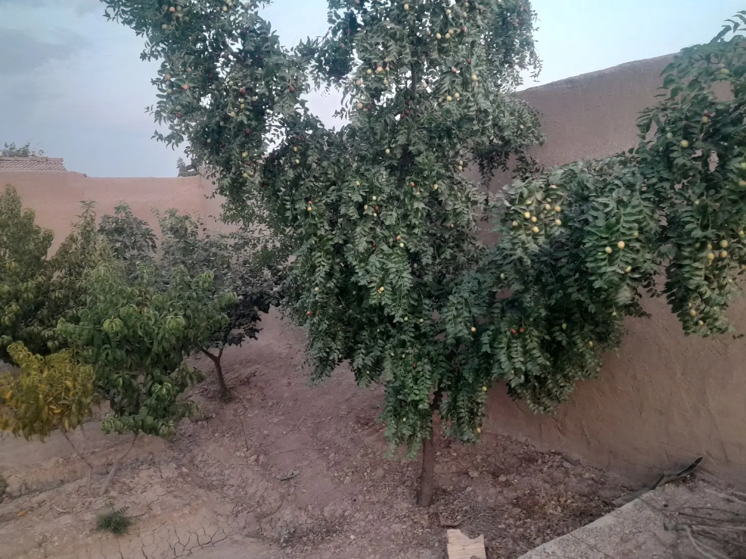 خونه فروشی گلدشت