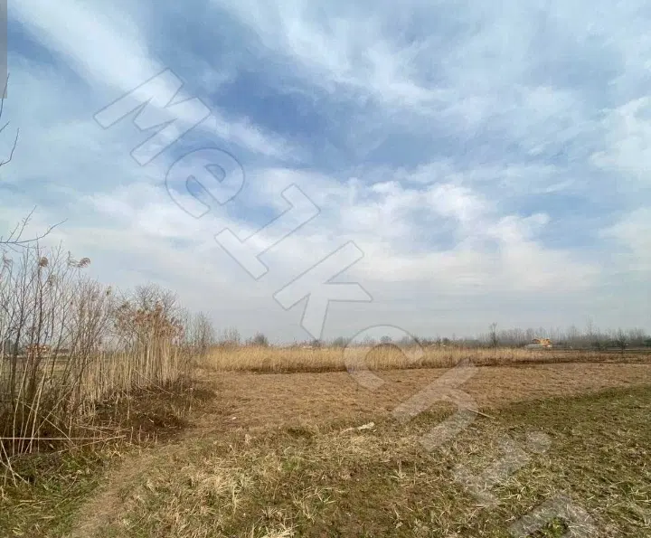 زمین باغ فروشی