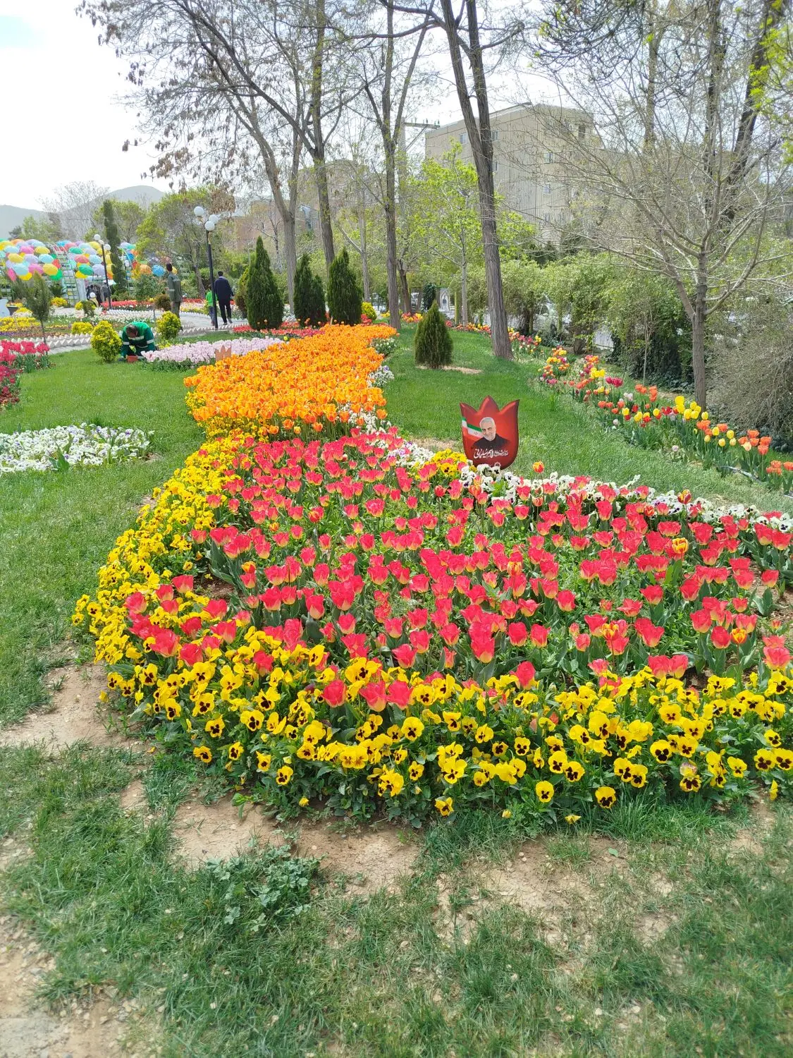 زمین