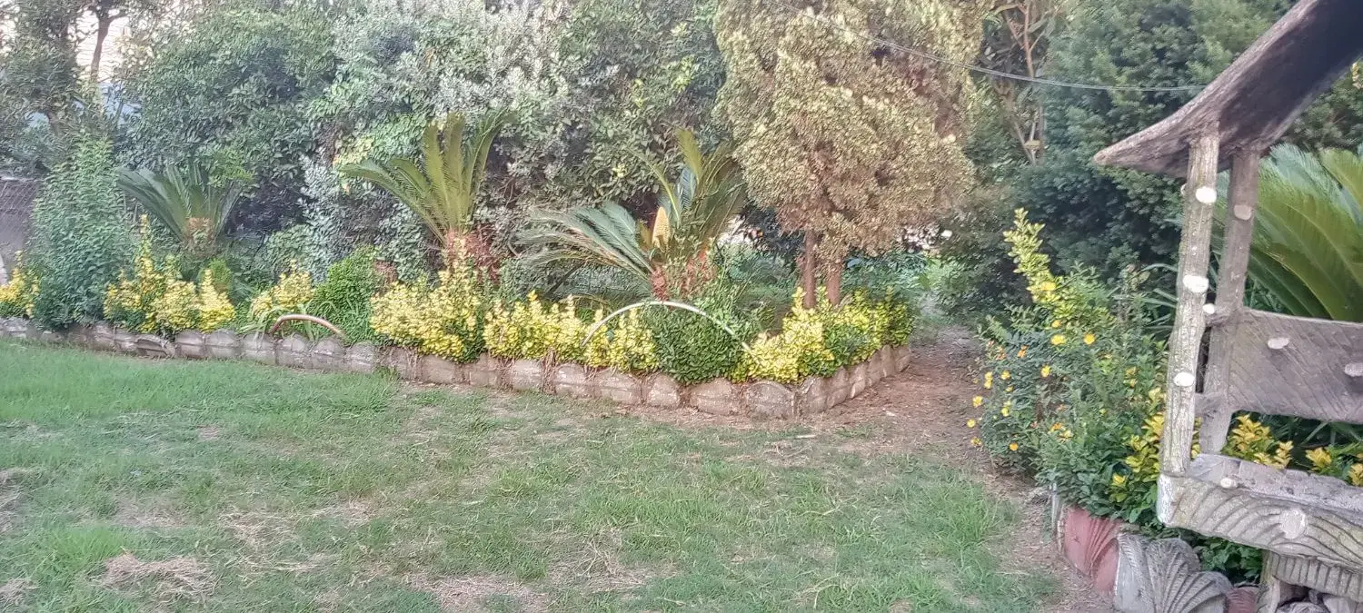 فروش زمین در منطقه  تیل پرده سر یا معاوضه بامغازه