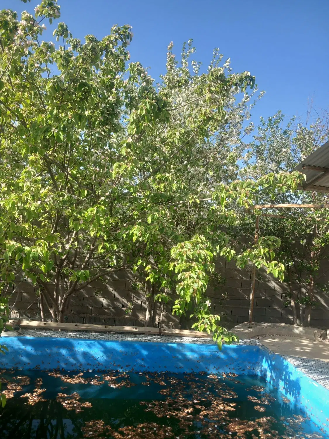 باغ ۱۰۰۰متری پیربکران