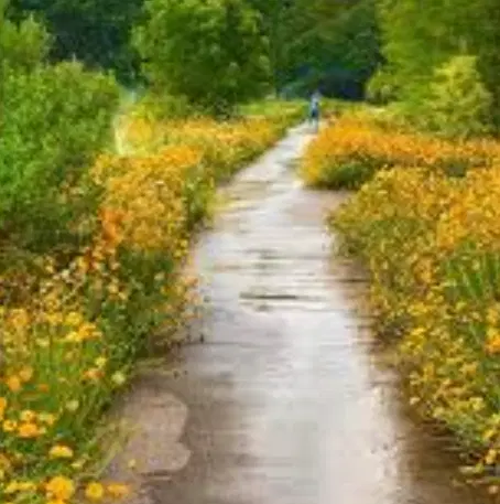 فروش زمین گجوت