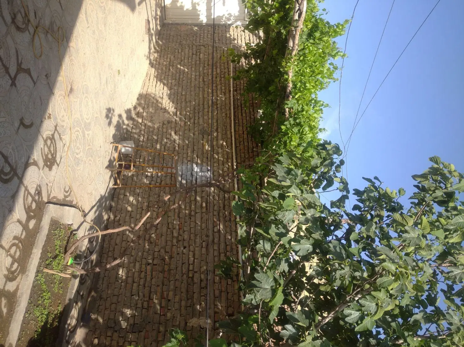 منزل ویلایی واقع در جوکار