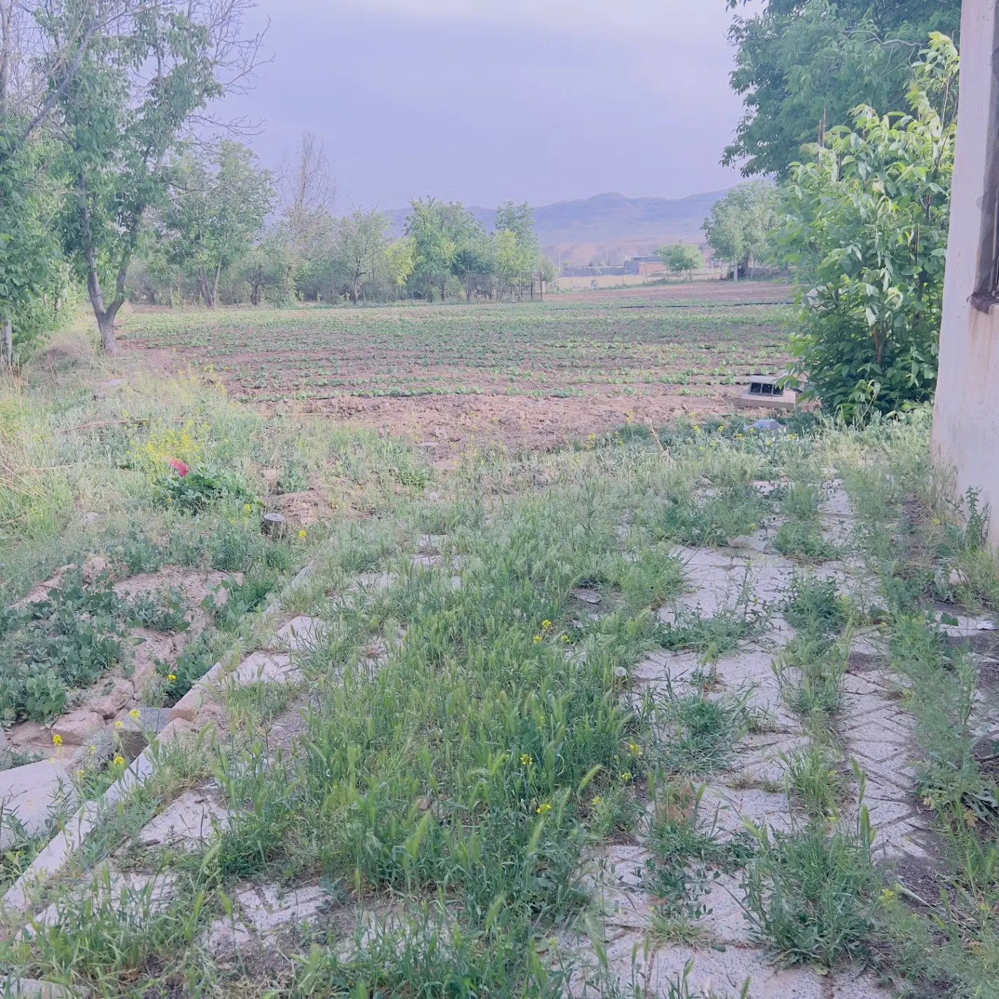 زمین ویلا
