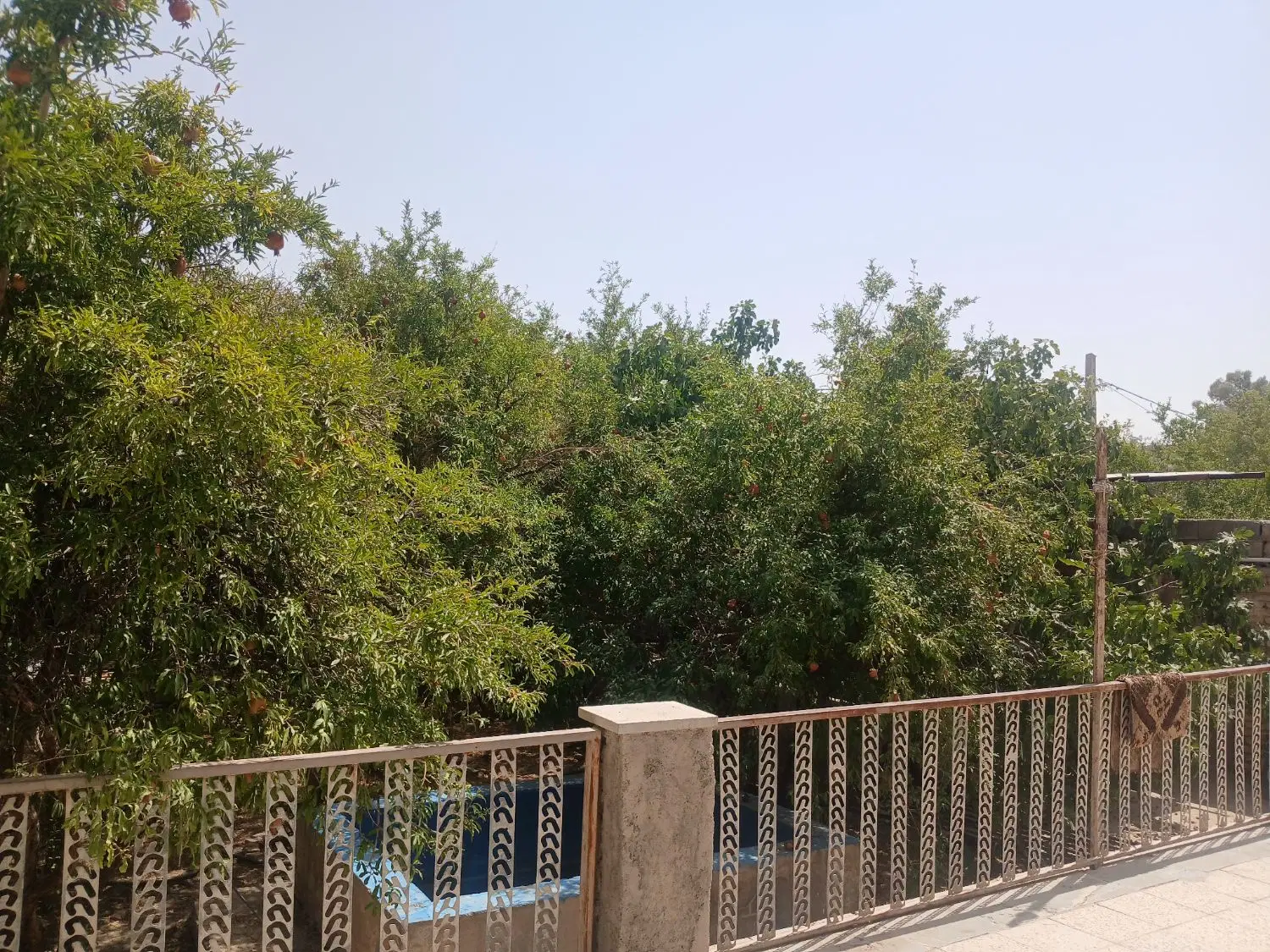 خانه فلکه سوم آزاد شهر ۱۲۰ماهی ۷نیم