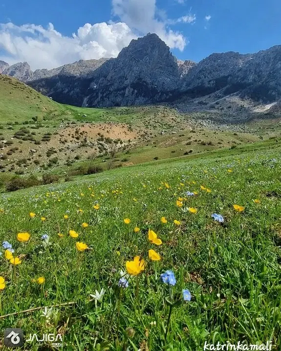 زمین فروشی