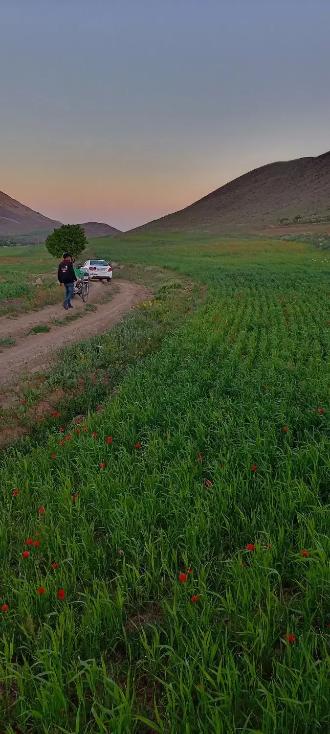 باغ زمین 280 متری روستای اردمین