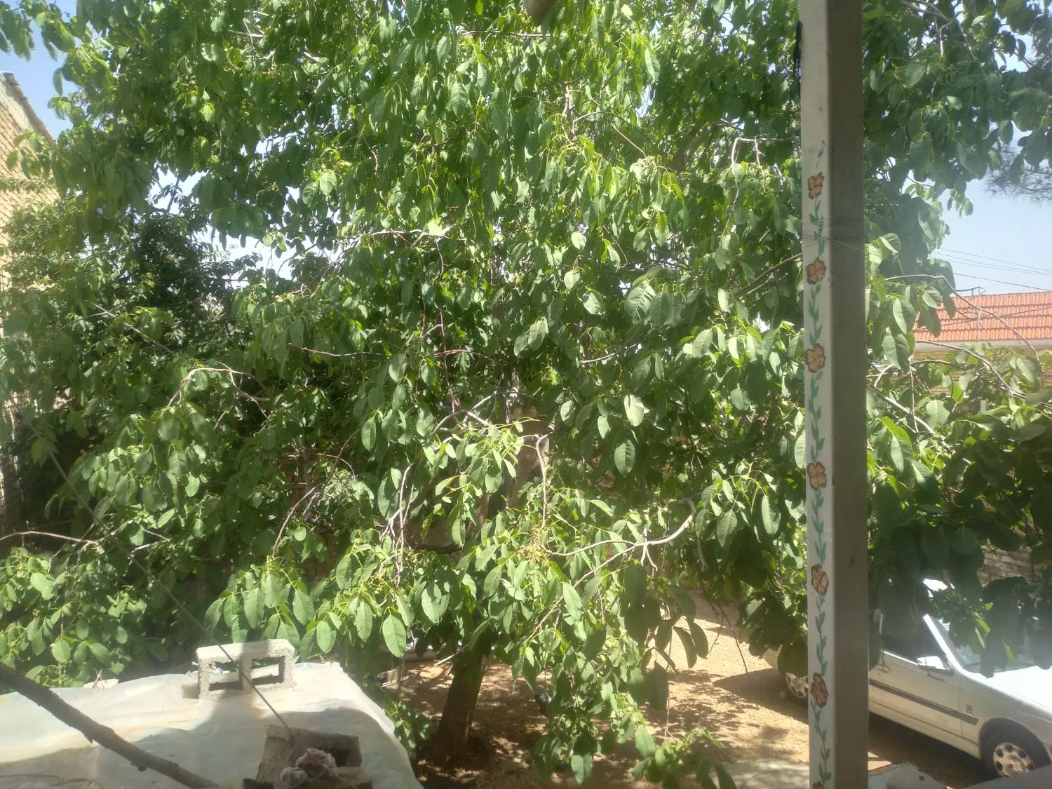 منزل 400متری در سپیدان روستای برشنه شش پیر