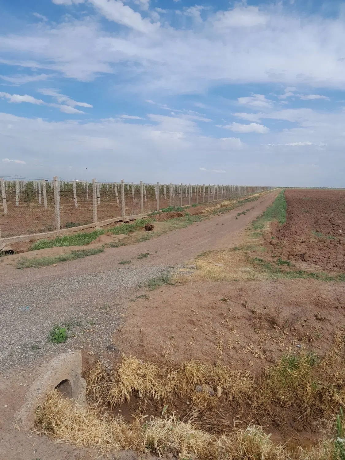 زمین کشاورزی  مرغوب