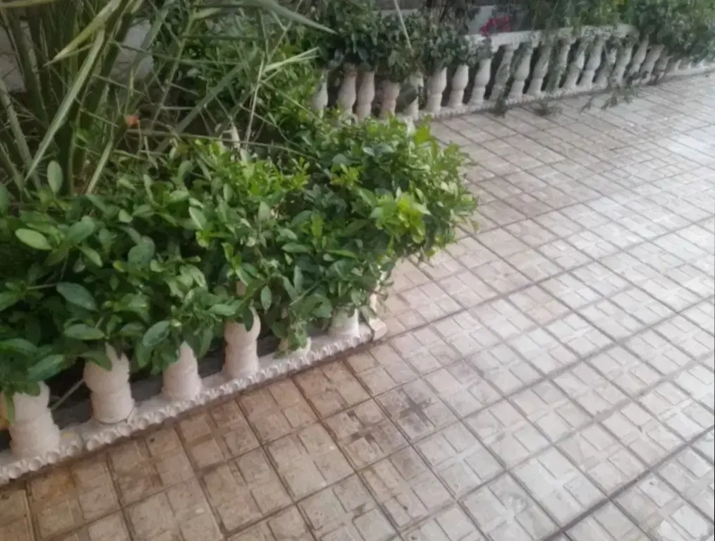 فروش زمین مسکونی