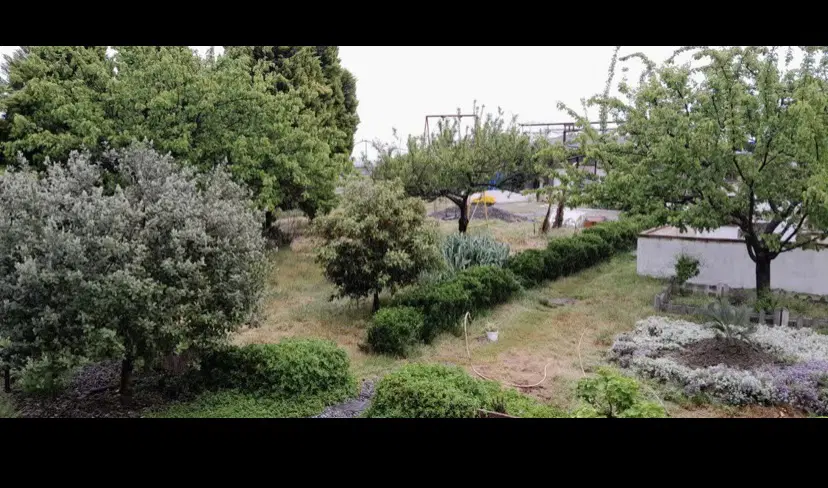 ویلا باغ۴۶۵۰م_نصف قیمت_دلیل مهاجرت