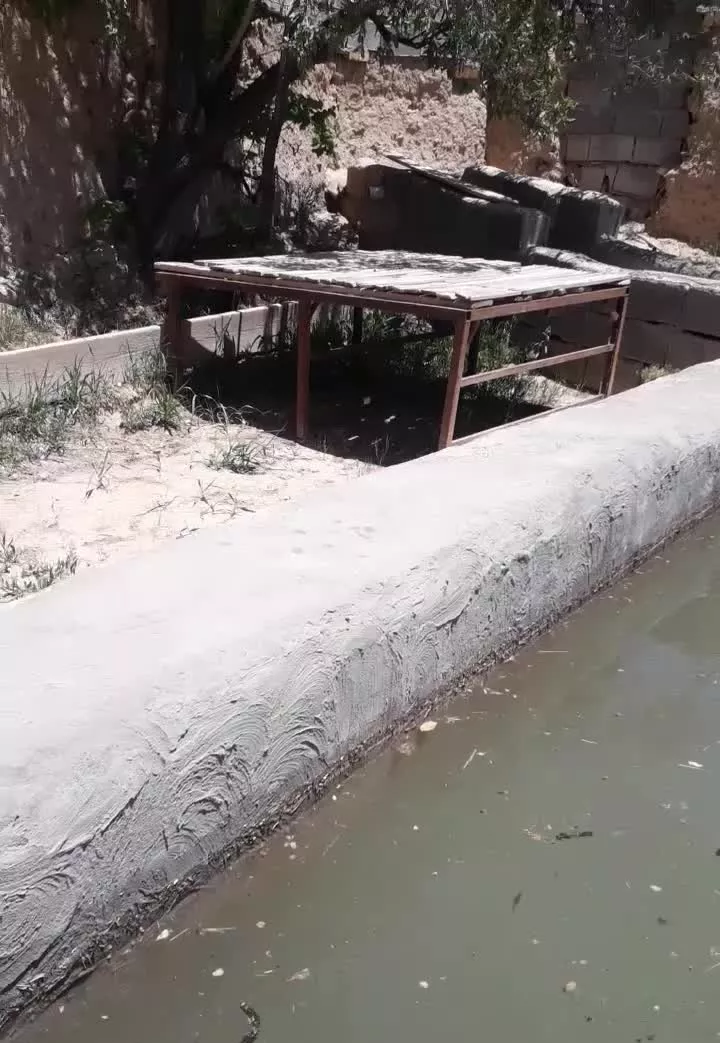 باغ فروشی در جاسب