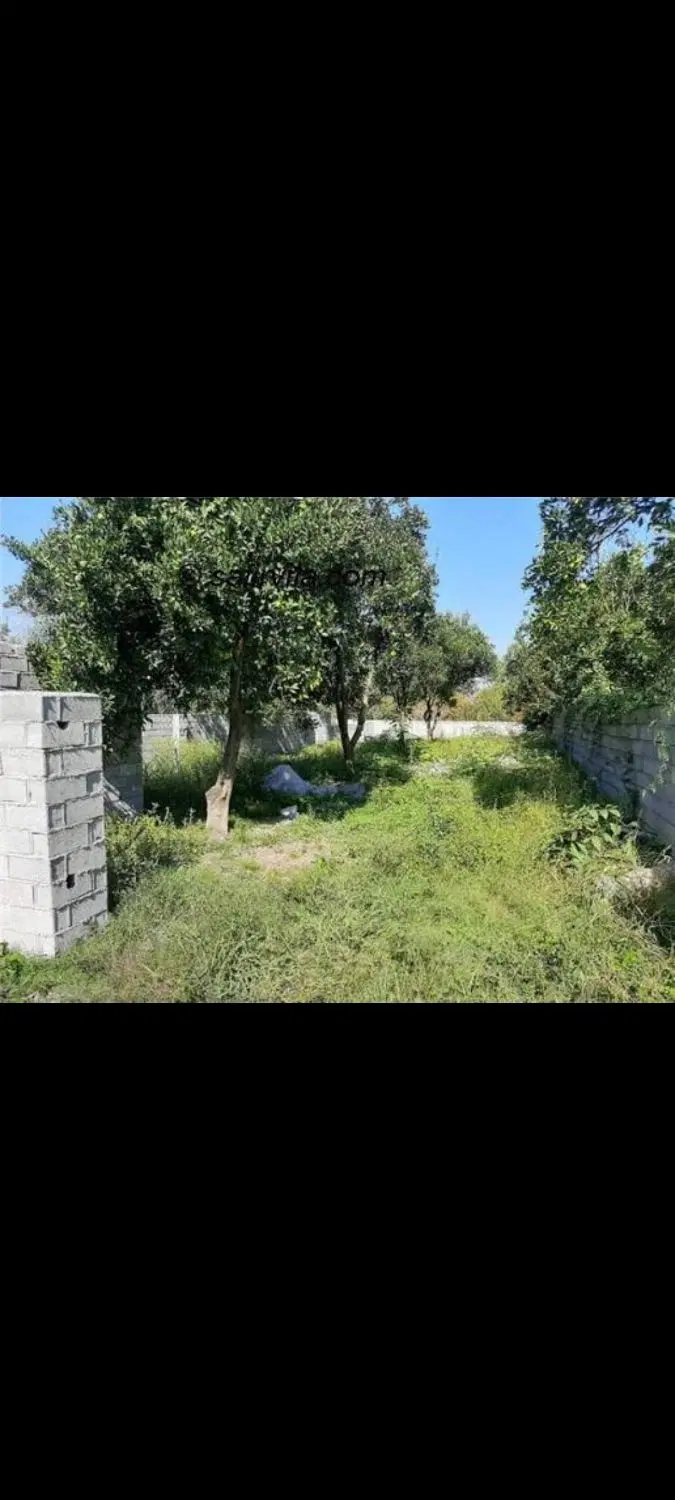 فروش زمین باغی