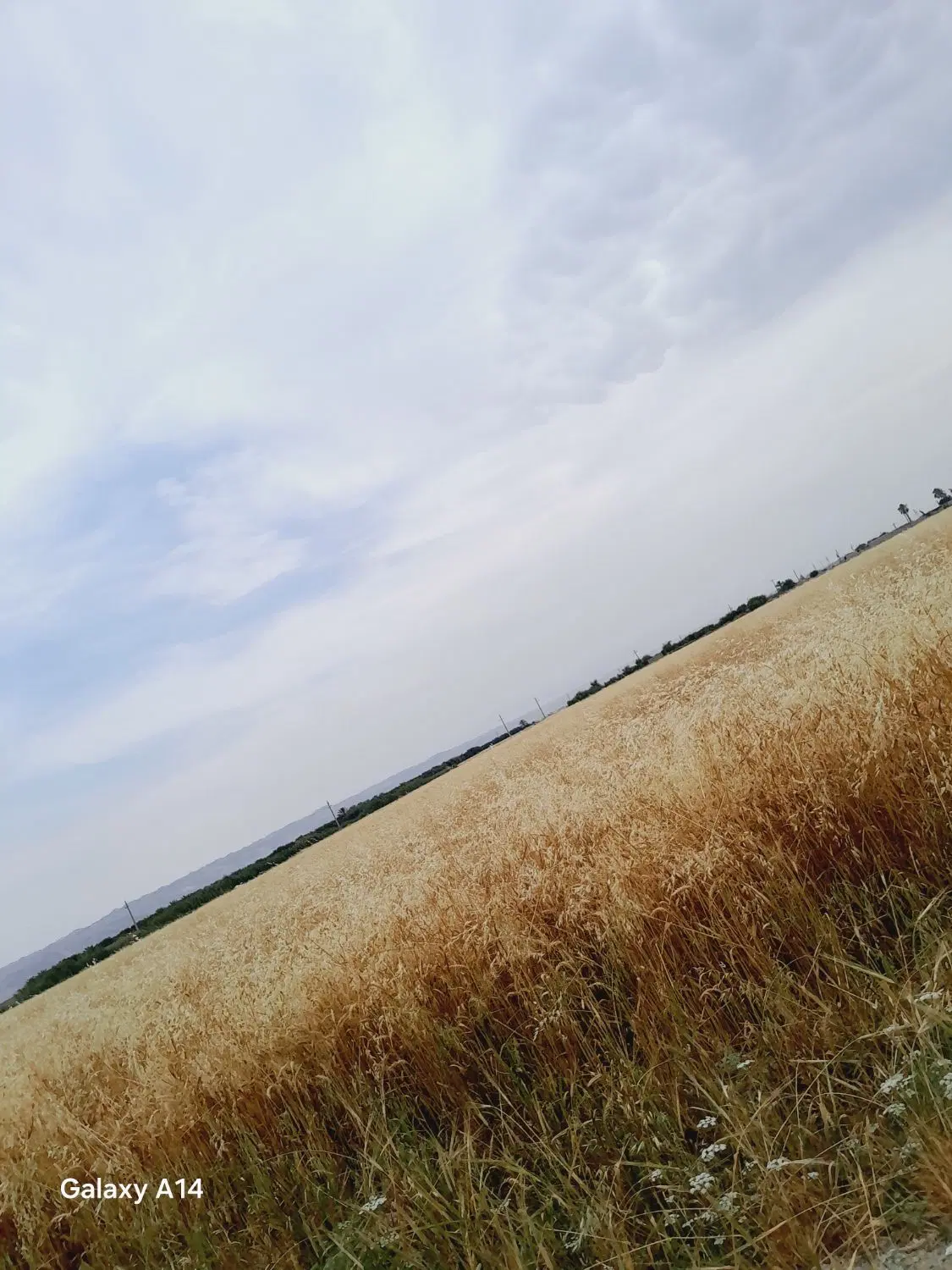 فروش زمین