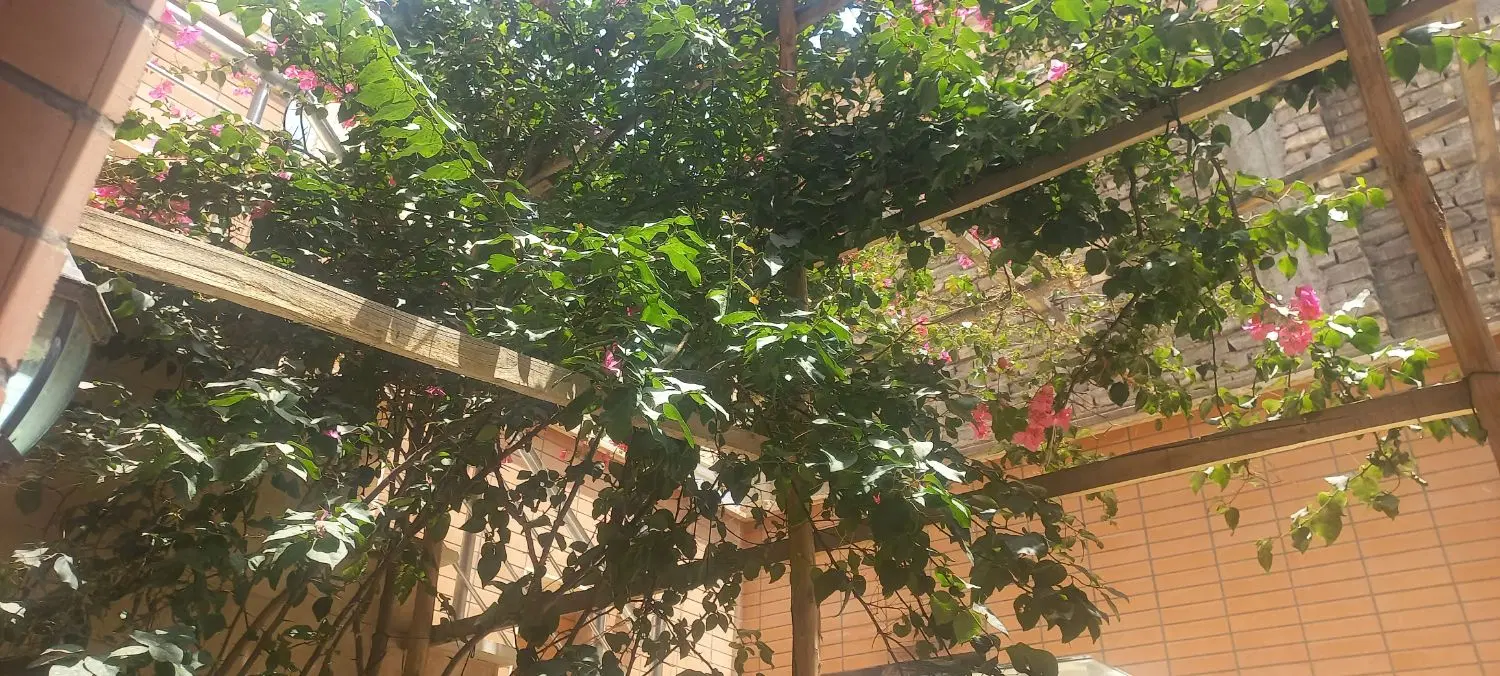 اجاره اپارتمان تک واحدی دانش