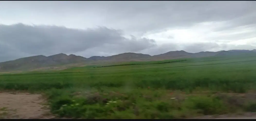 زمین کشاورزی