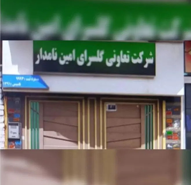 فیش گلسرای امین تجاری