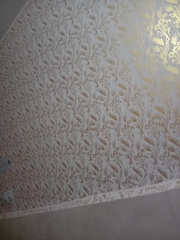 معاوضه دومنزل ویلایی درمرکز شهر ناحیه