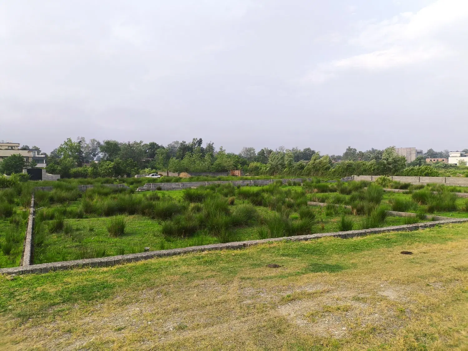 فروش زمین 600 متری در نمک آبرود